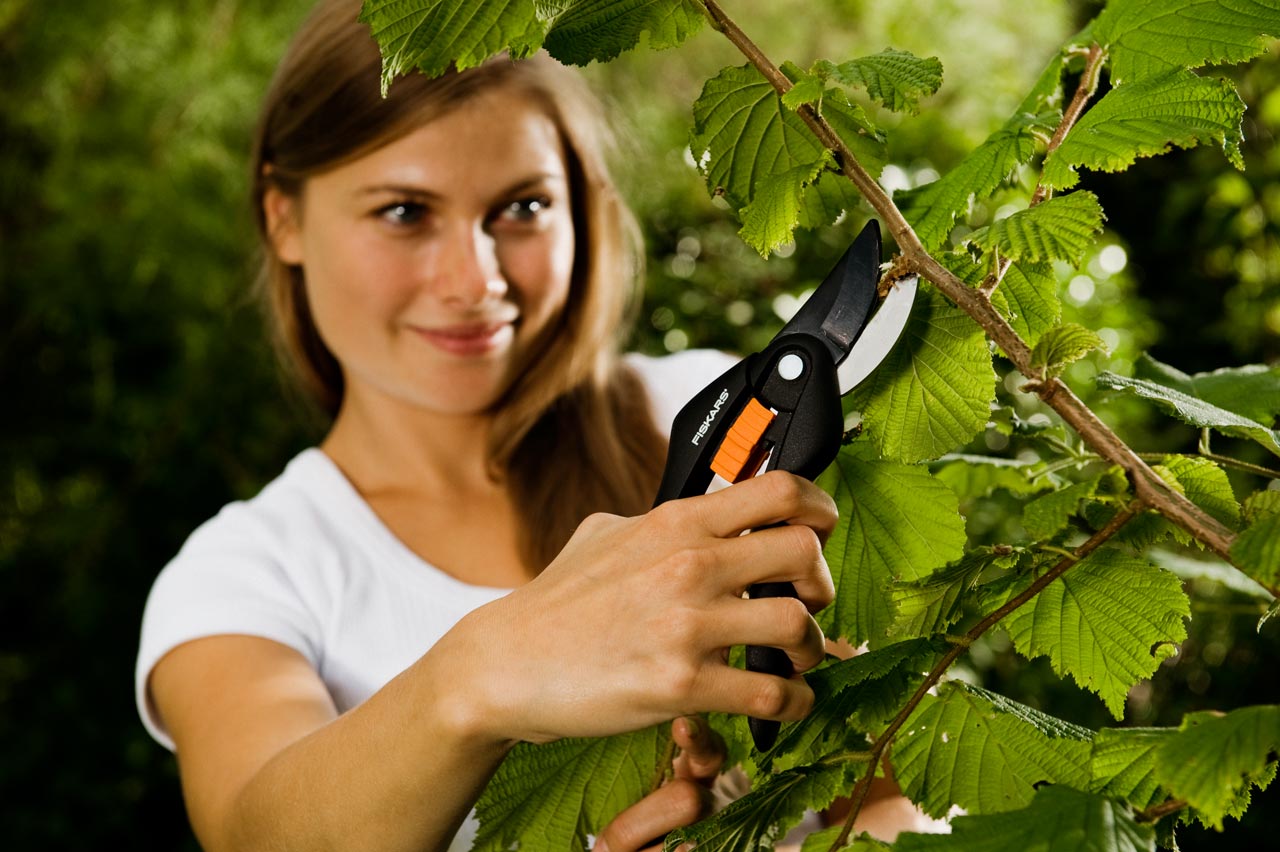 Увеличенная фотография Секатор Fiskars плоскостной